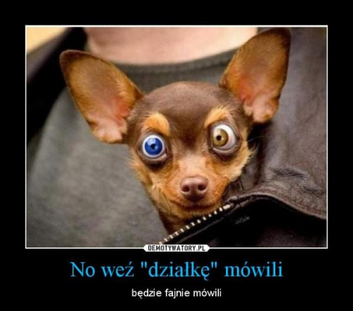 [Obrazek: d767e0a48366d5b3med.jpg]