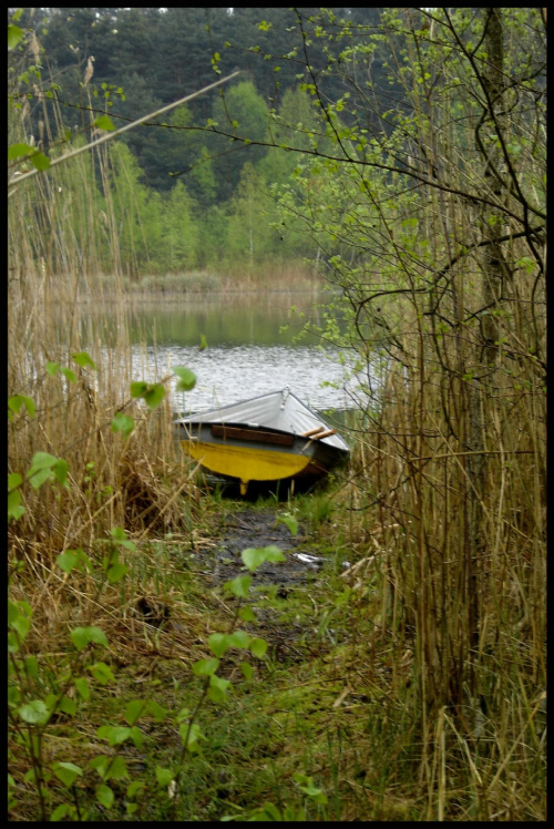 images64.fotosik.pl/913/e663e162bfce2b0cmed.jpg