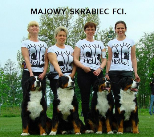majowe :)