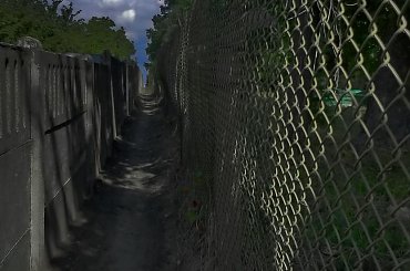 Barwy lata ;) #ogród #ścieżka #garden #path