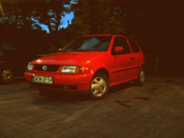 polo