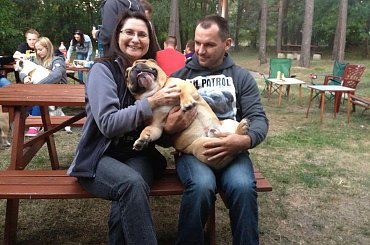 zlot buldogów angielskich. Fioletowe forum buldog-angielski.org.pl #BuldogAngielski #buldogi #FioletoweForum #zlot #Zlot2013