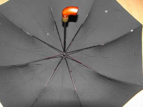 parasol rp231