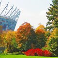 Jesień przy Stadionie Narodowym