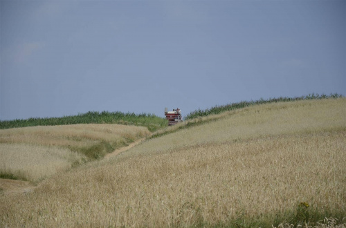 kombajn górski