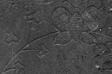 OPUSZCZONE CMENTARZE ZACHODNIEJ POLSKI #fotmart #WMoimObiektywie #wojtekwrzesien #święto #listopad #fotografia #zdjęcie #groby #cmentarzyk #Bodenhagen #Bagicz #FestungKolberg #kolberg #kołobrzeg #samotność #smutek #droga #krajobraz