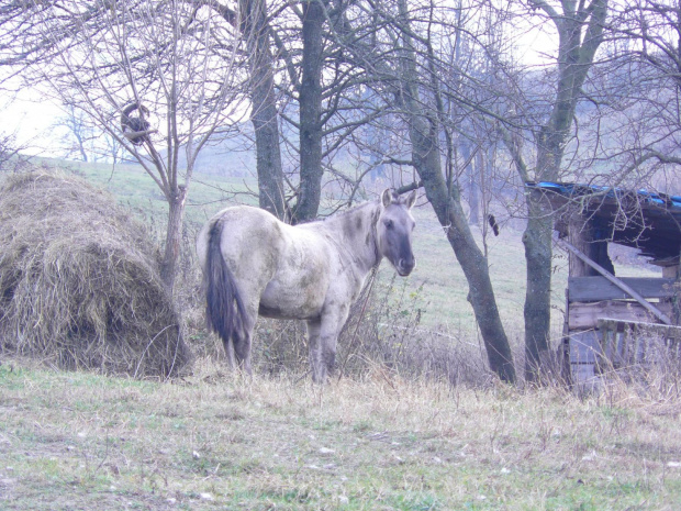 BieszczADY 2013 10 27 #BieszczADY