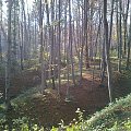 Mój pobyt w Iwoniczu Zdroju 2013 10 20 do 2013 11 13 #IwoniczZdrój