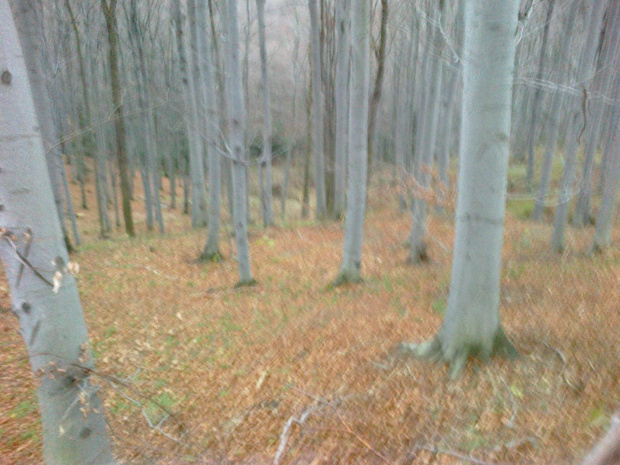 Mój pobyt w Iwoniczu Zdroju 2013 10 20 do 2013 11 13 #IwoniczZdrój