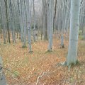 Mój pobyt w Iwoniczu Zdroju 2013 10 20 do 2013 11 13 #IwoniczZdrój