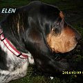 elen