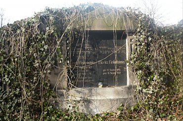 Cmentarz żydowski w Zabrzu #CmentarzŻydowskiWZabrzu #kirkuty