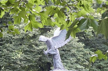 #liście #park #pomnik #Wrocław