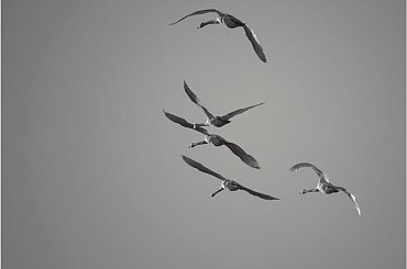 W DOLINIE RZEKI BŁOTNICA #Błotnica #wojtekwrzesien #DzikaPolska #fotmart #WMoimObiektywie #Resko #Karcino #poranek #ŚwitPrzyroda #natura