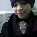 #szczury #zwierzęta
