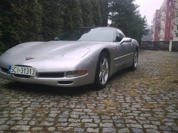 Corvette moja miłość