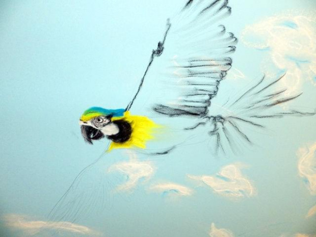 Papuga #papuga #ściana #pastele #ptaki