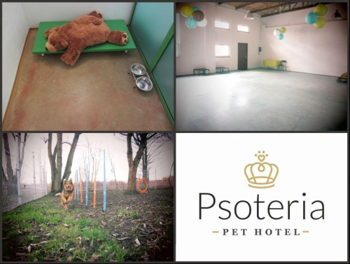 #HotelDlaZwierząt #HotelDlaPsów #HotelDlaKotów #pies #psy #kot #koty #PetHotel #pets