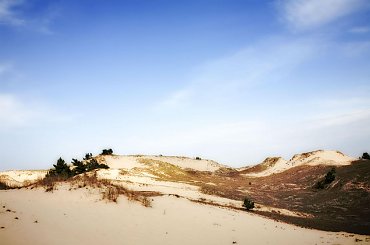 Wydmy Czołpińskie #Czołpino #Łeba #piaski #pustynia #wydmy