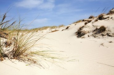 Wydmy Czołpińskie #Czołpino #Łeba #piaski #pustynia #wydmy