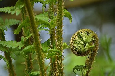 W świecie wiosny #fotosik #fotmart #dzikapolska #wiosna #bocian #jelonek #wojtekwrzesien #fotografia #natura #krajobraz #las #kwiaty #Drozdowo