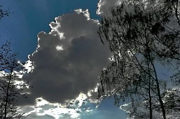 Nad J. Licheńskim wielkie drzewa zastygły w ukłonie maleńkiej figurce Matki Bożej Bolesnej... #sanktuarium #Licheń #niebo #drzewa