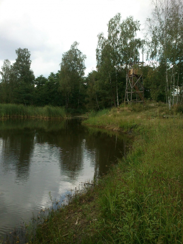 strzelce opolskie