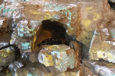 #hoya #hydroponika #paludarium #rośliny