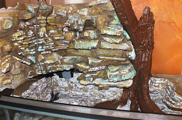 #hoya #hydroponika #paludarium #rośliny